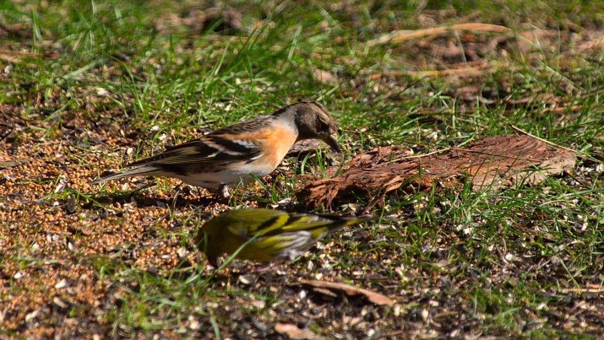 5a4b942b-a9d6-4cb0-a186-950ef5a4211c