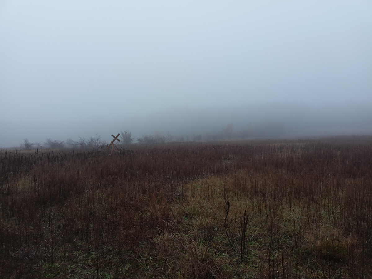 32757b29-d49c-47fb-a108-e576757f738f