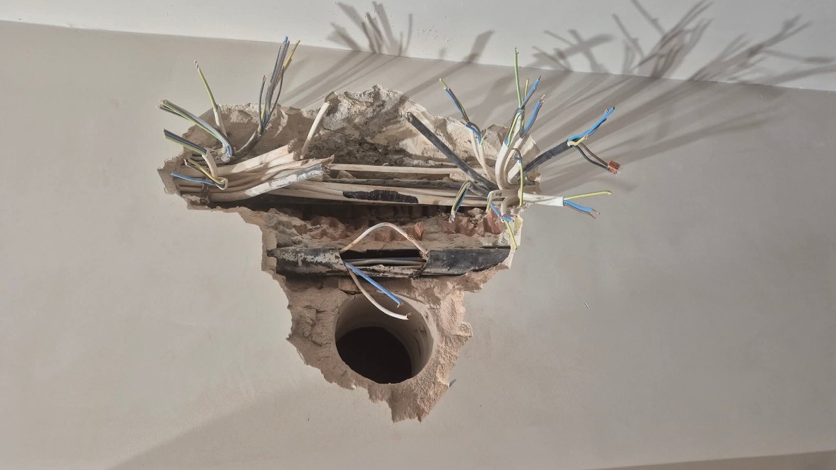 499013c0-993b-494f-b456-1e8c079fe0b4