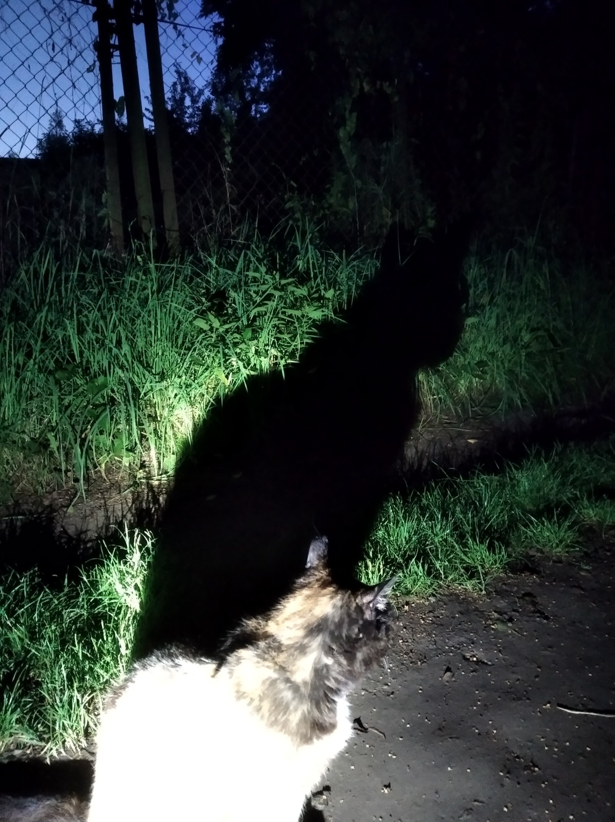 1228b41f-bc4a-4450-95ca-7db6e21f6598