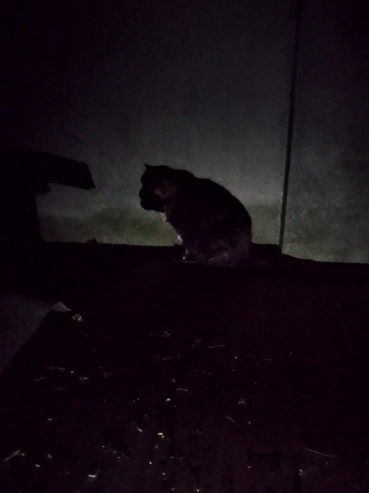 78098708-44fe-4855-91e0-36b9028727f2