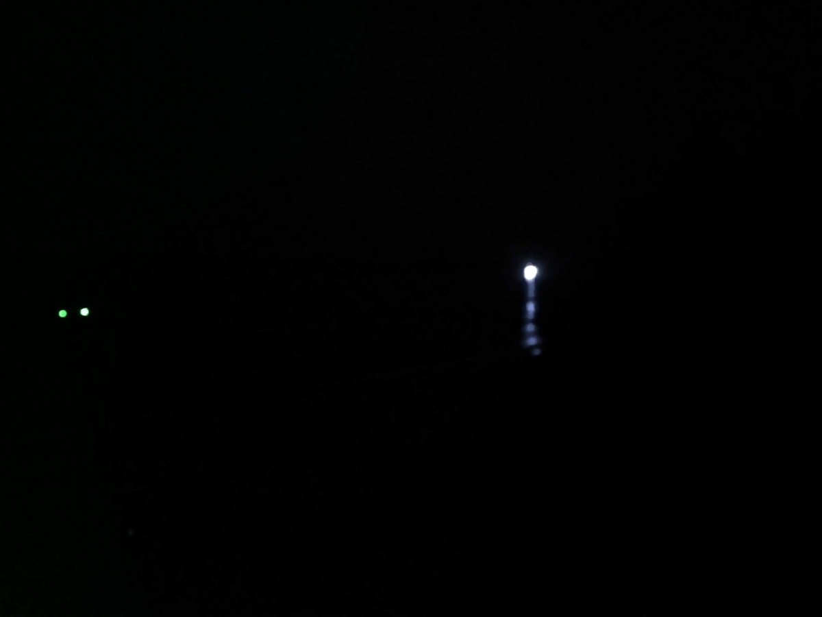 455bfe87-5096-415c-a0ba-795b4d199357