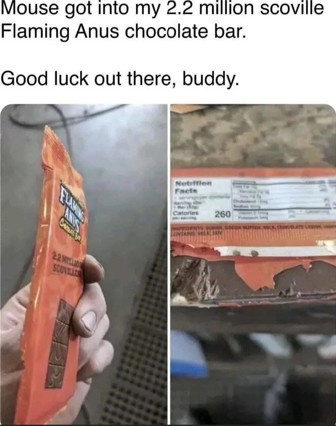 1a9ef601-2fac-4cf2-9236-291697d764e0