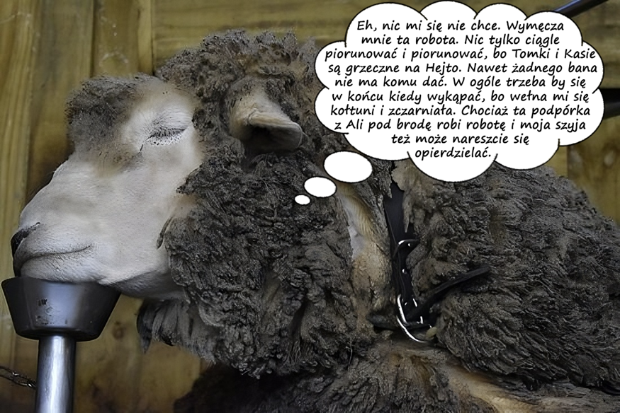 09d2ced8-d1e0-423d-9a35-65fe8e86823d