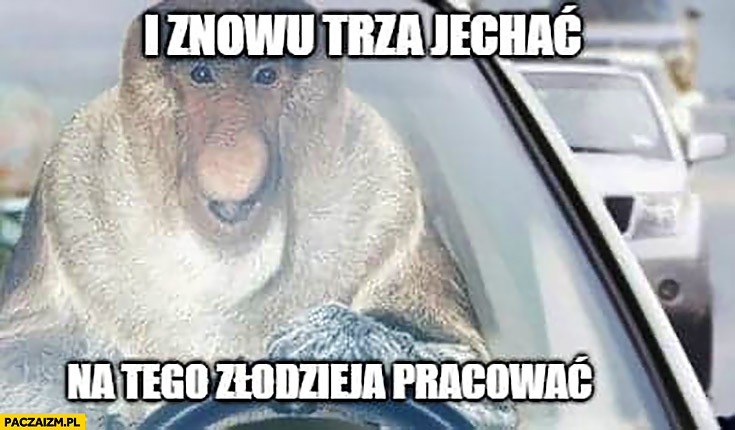 592d8806-81a6-4396-9c44-46281ecf770f