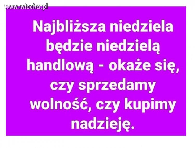 7c5b1315-bd80-4ac1-9fb4-5d75309e2ac1