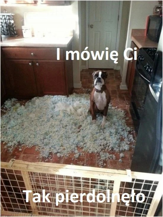 bcc47c8e-fee2-4cc8-9729-518f6c8a77b7