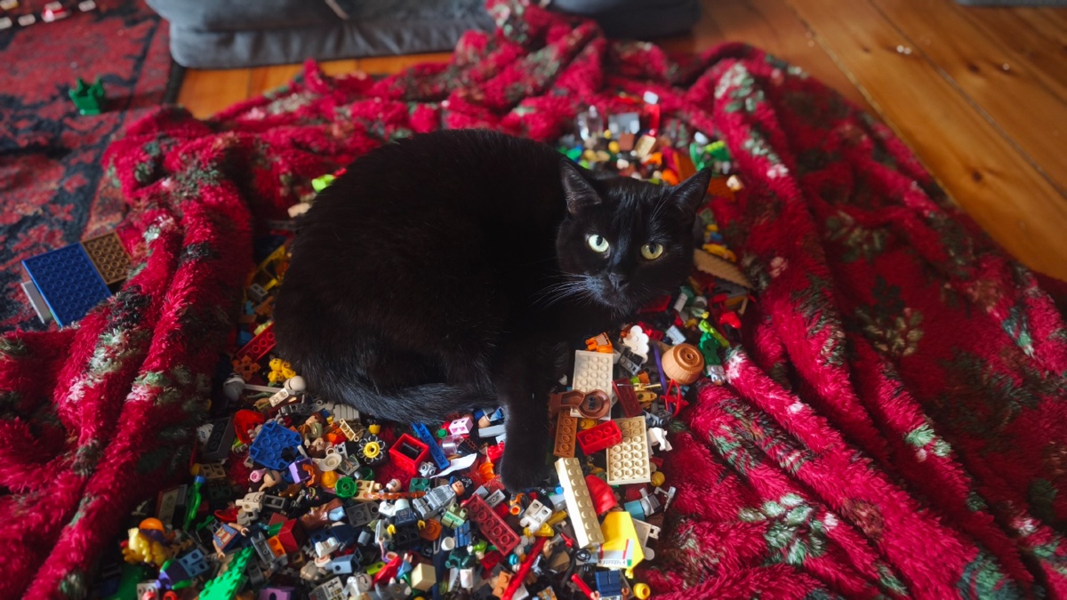 53af1db8-aec3-4d72-88d8-7fae723a6dae