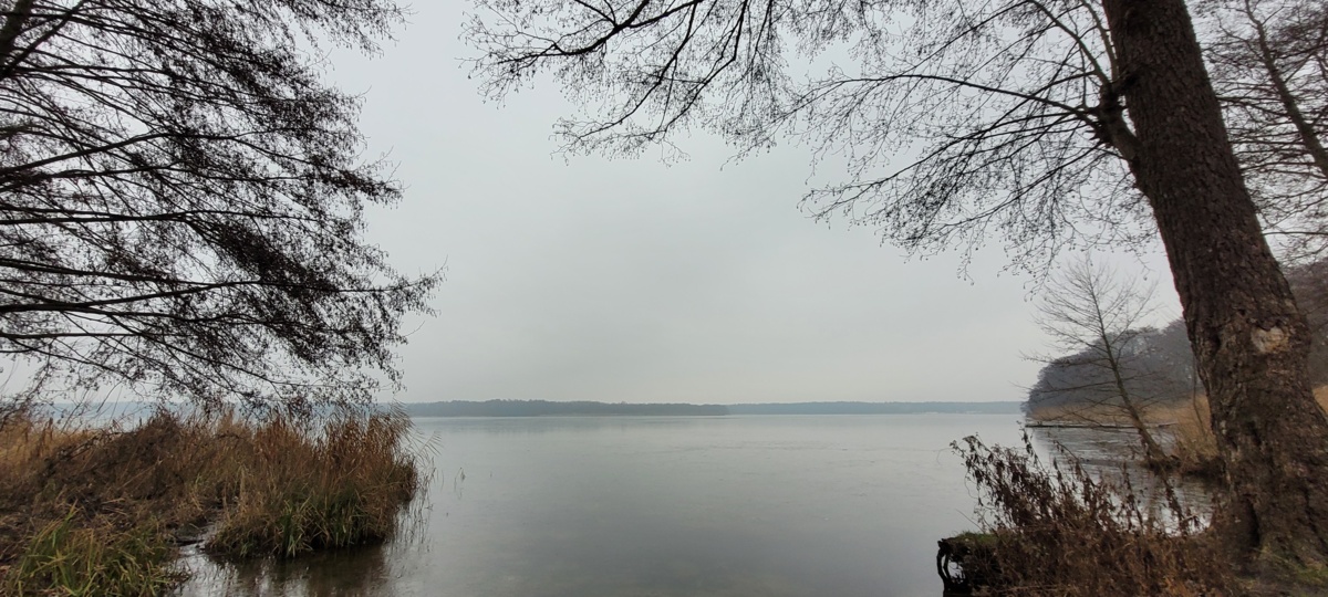 d2c0e0ce-61d2-484a-8ed2-cd20203ee1ef