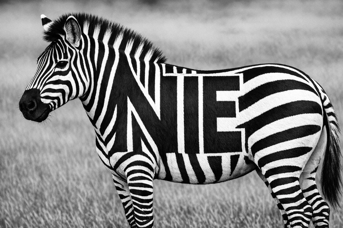 4ba6a032-1554-4fea-917e-ab335583004e