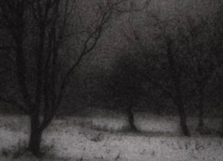 f93770dd-a4b6-4daf-b3a6-a4902b9b8608