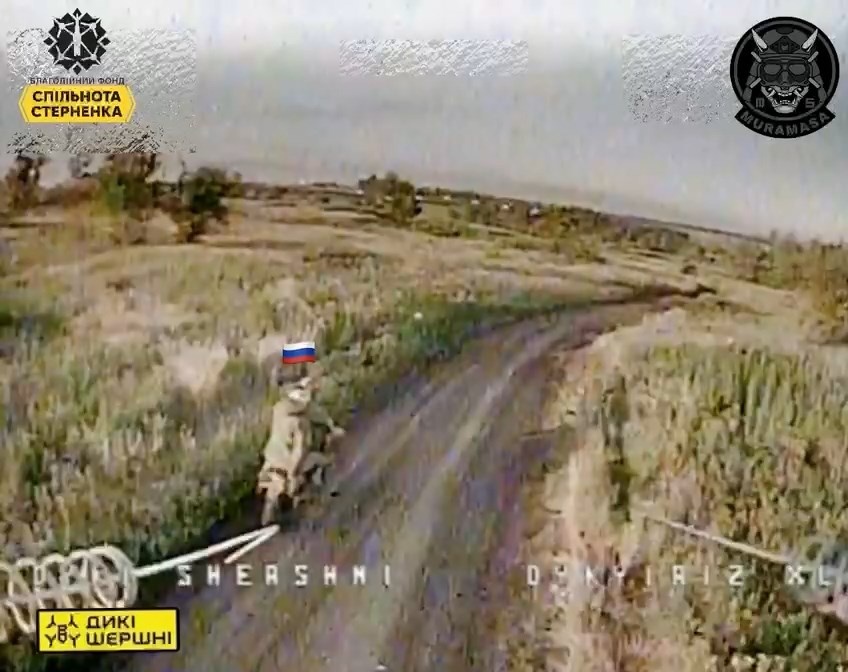 69bc29f4-2fc9-4d6c-8f44-db1fbb977c99