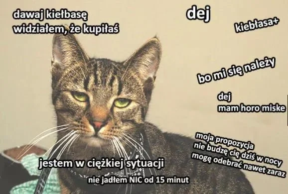 d719dc5b-7dd8-4001-87f8-c4a3e2a9b599