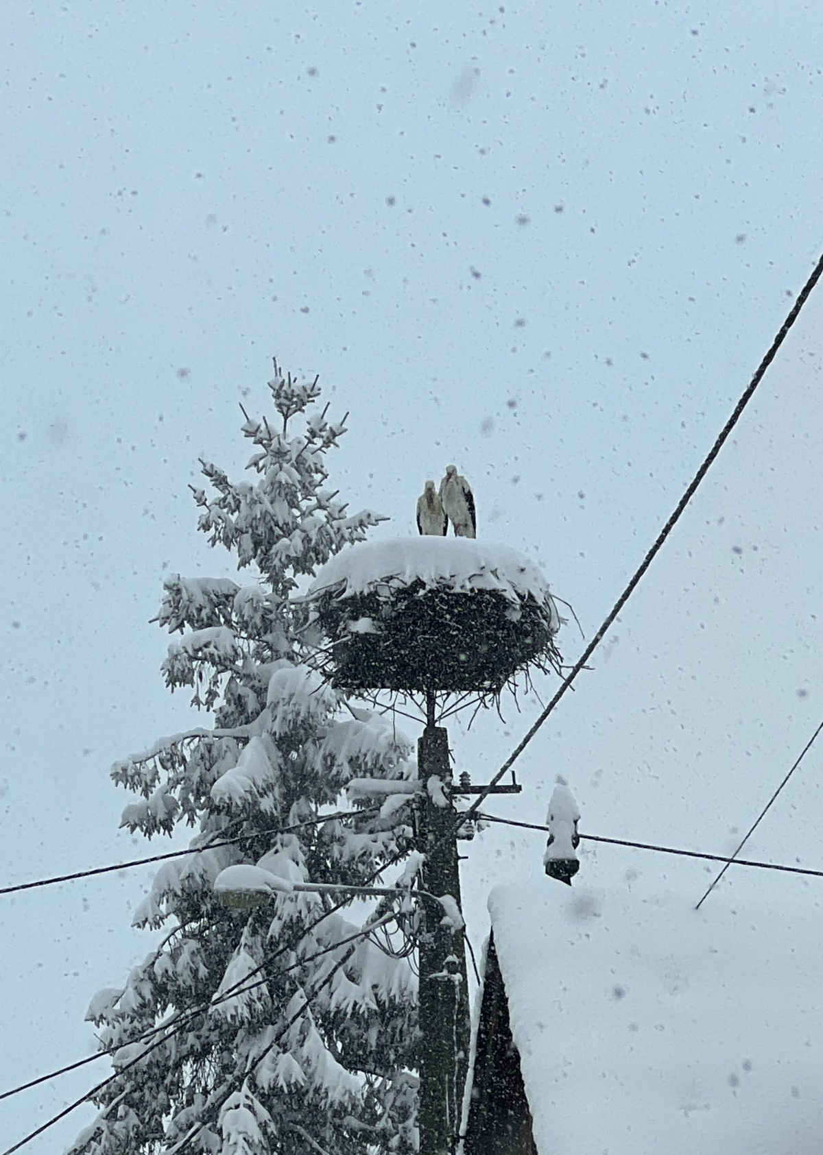 72bb2145-f10a-40bf-848c-d9157ee0d1e1