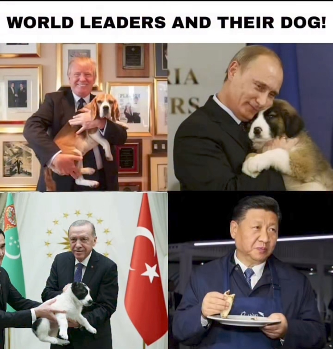 b97529cf-4bd1-4bc9-9bcd-109d4af0adfa