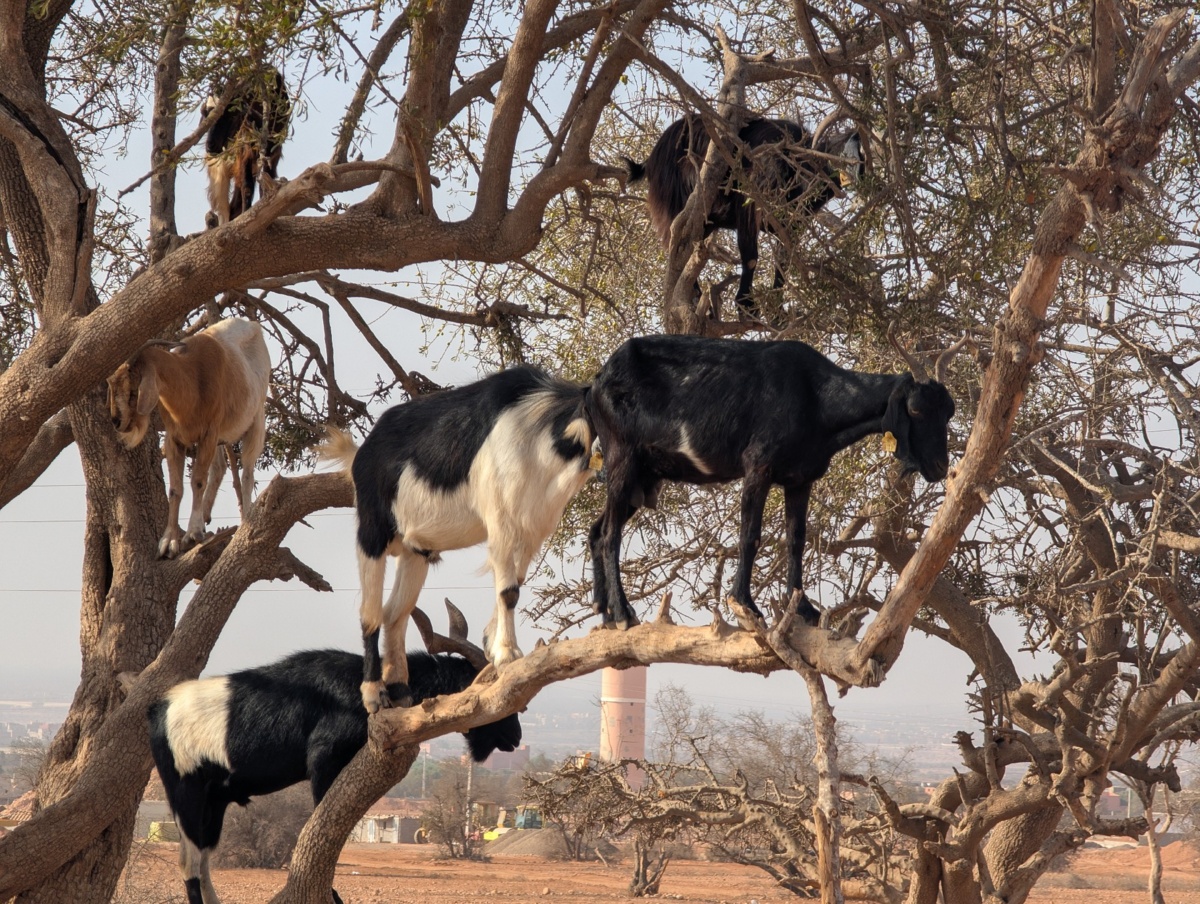 ef1227d4-6e4e-4596-a0cf-30e61b4c7760