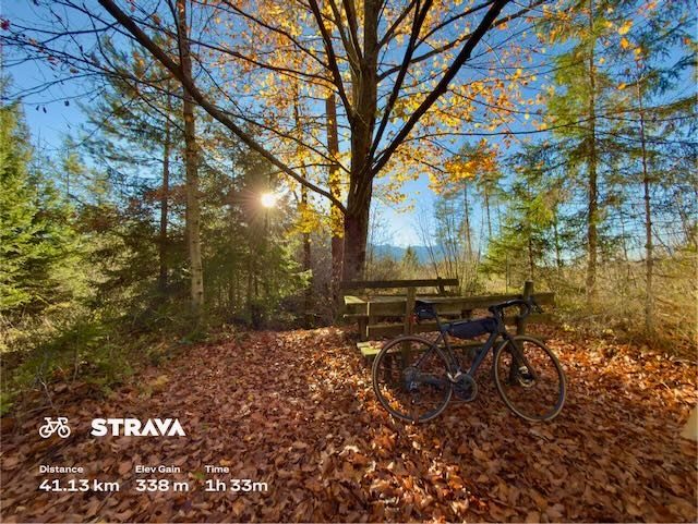 dabe4cba-5c66-4c1f-8b67-4ff3efc95de1