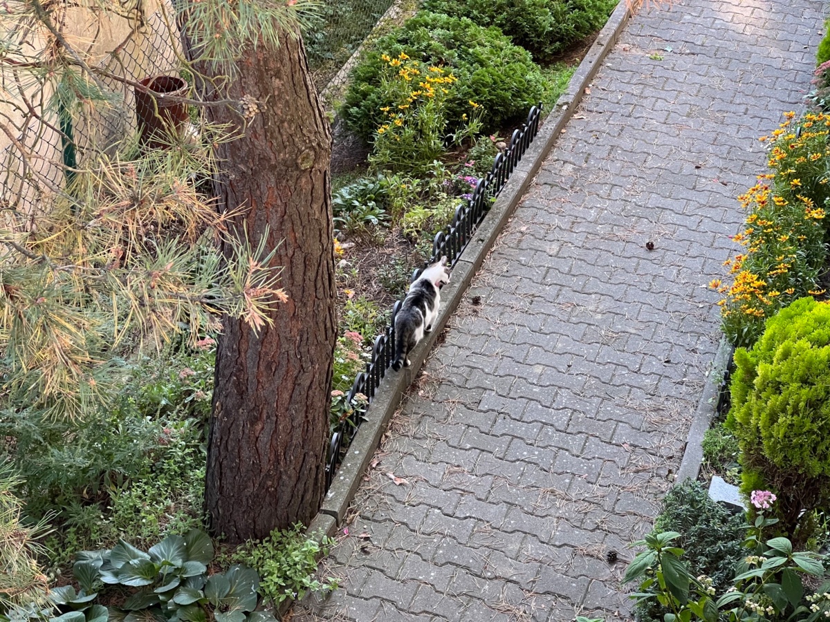 eb2e61ac-f3e9-414f-a227-9733e5cd961e