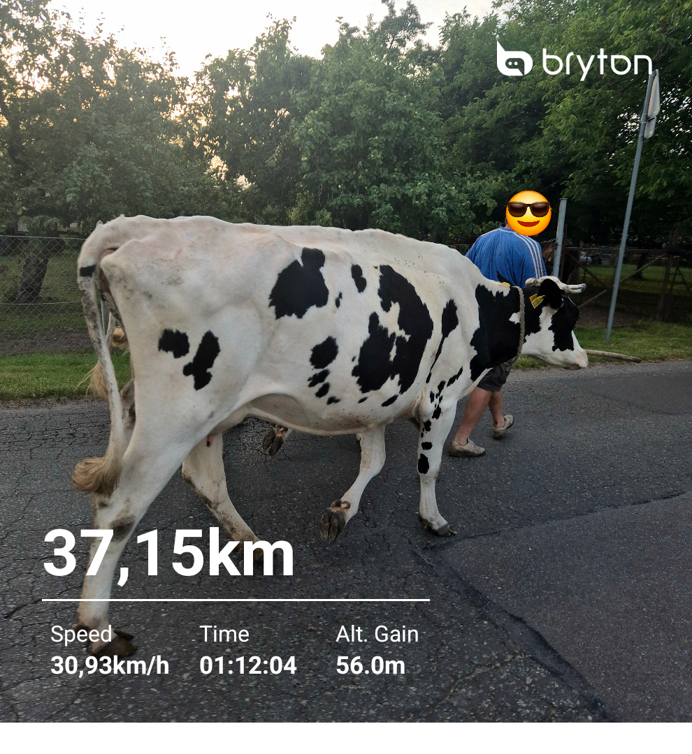 b5390e61-9b7e-4205-b92a-a3968a9c094e