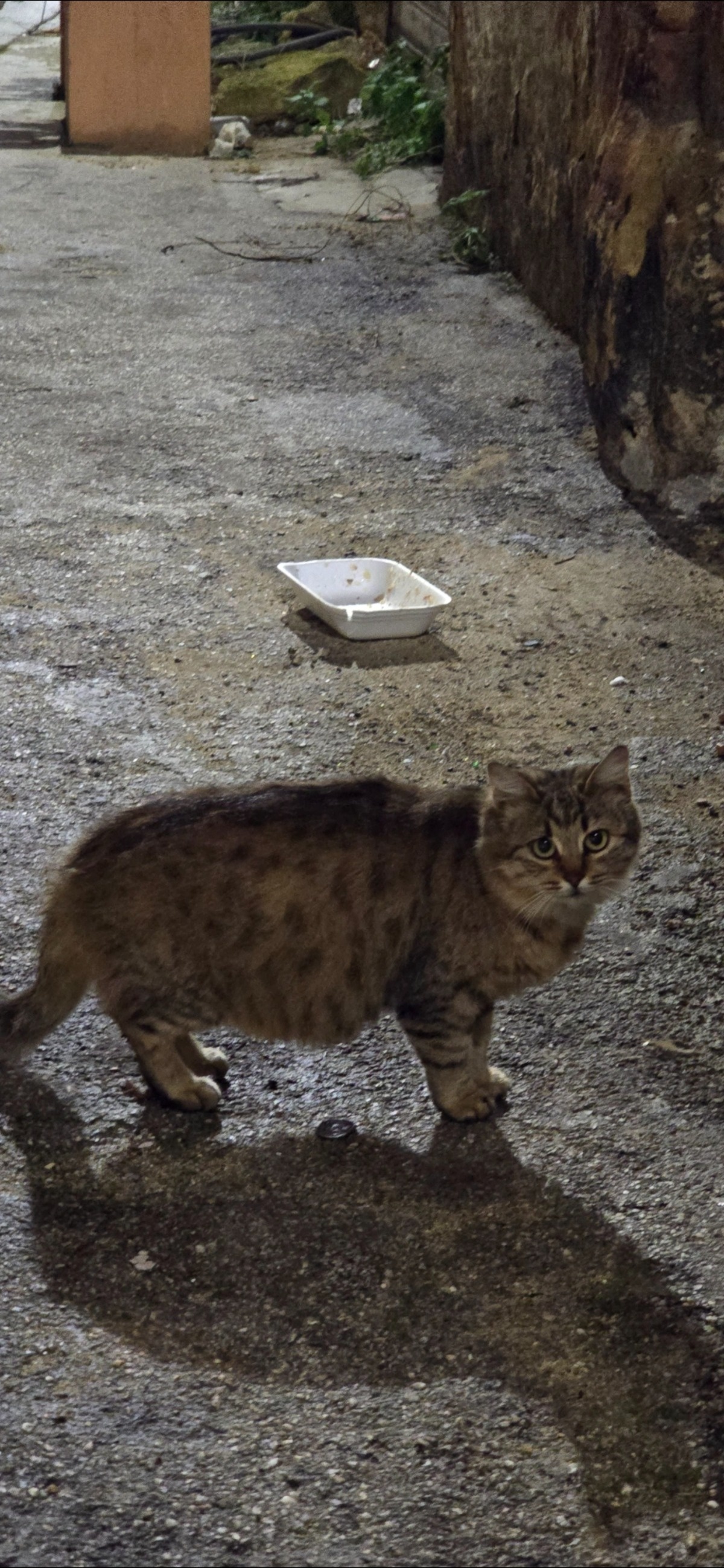 b231e548-feae-4322-8424-4ca2949b0203