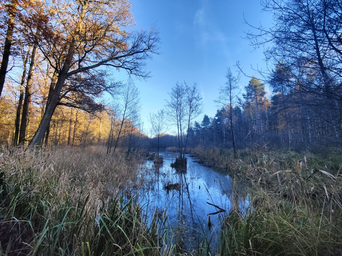 6ecbd1ef-f629-43a7-9d0f-39ae5dee548a