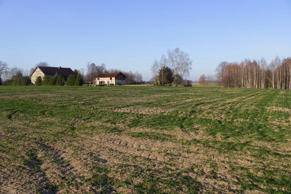 Fala wniosków o warunki zabudowy. Urzędy nie wyrabiają się z decyzjami