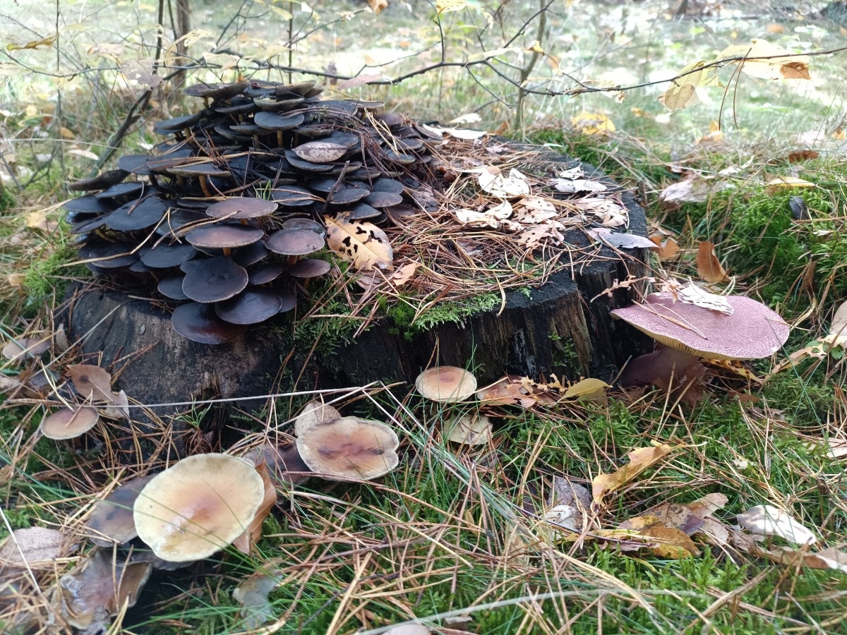 44cfbb51-08ce-4784-a92a-69d6fa8697e9