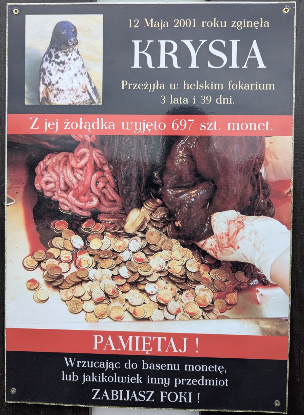 a9e82f40-b76e-4d7f-97da-9bbe00edf688