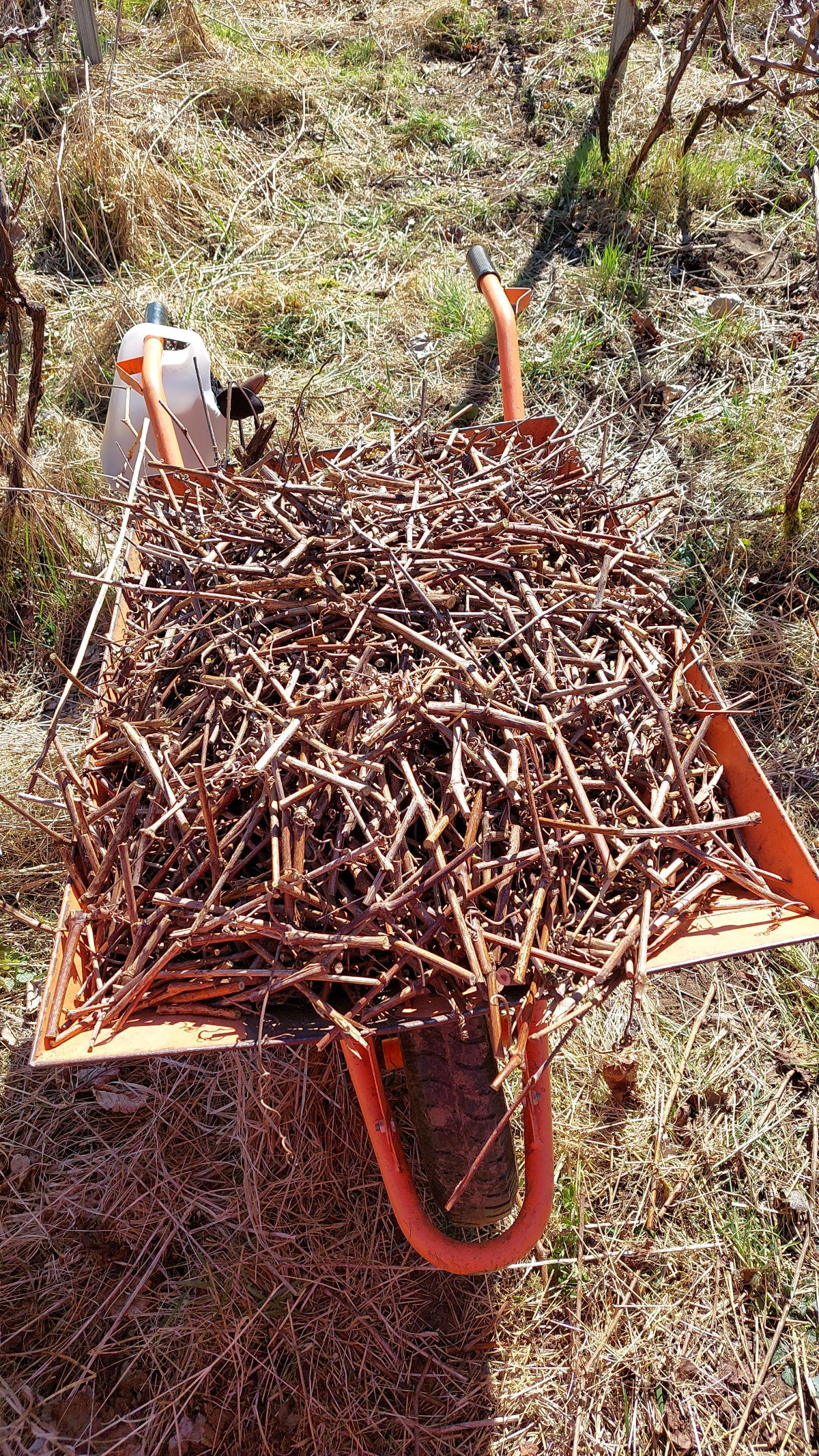 2996a232-c3c3-4355-94da-0abd589b6a28