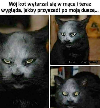 dc2b91ee-9fa9-45f7-9a96-afb4ab5bfd4b