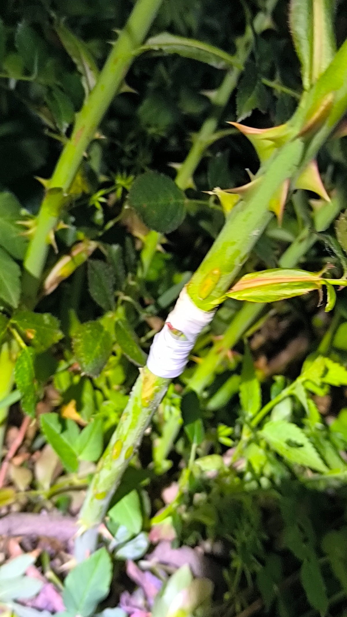 b3169fe7-40ed-432b-929f-e7e19b076f8d