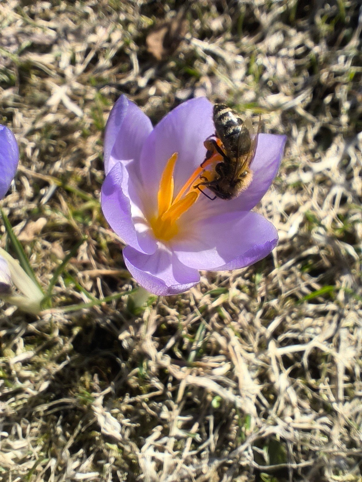 325ad900-0bfa-4a61-8163-dc4677399cd2