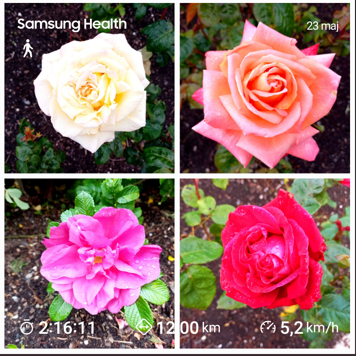 9ed3d817-bc0a-4480-852b-8f9b16d636bd