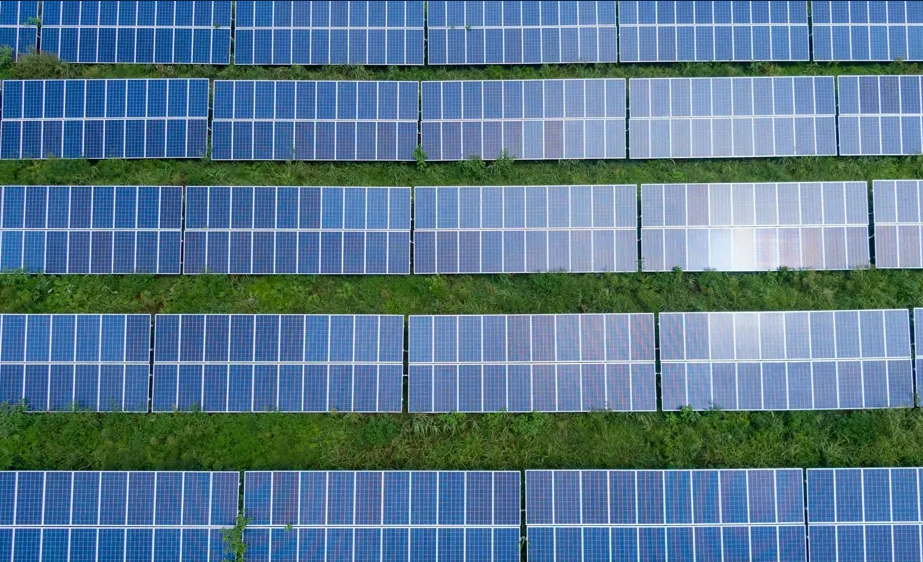 Za dużo prądu z OZE? PSE ogranicza produkcję, część inwestorów liczy straty