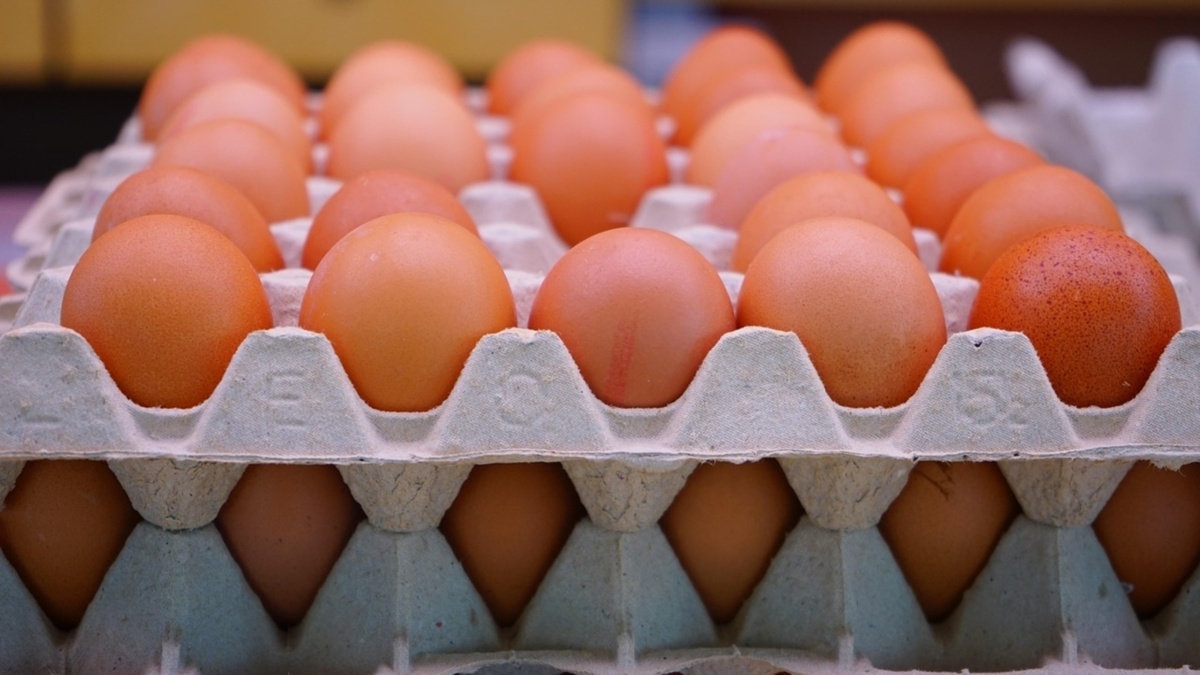 USA prosi Litwę o jajka po Finlandii i Danii, internet nazywa to „żebraniem od drzwi do drzwi” [EN]