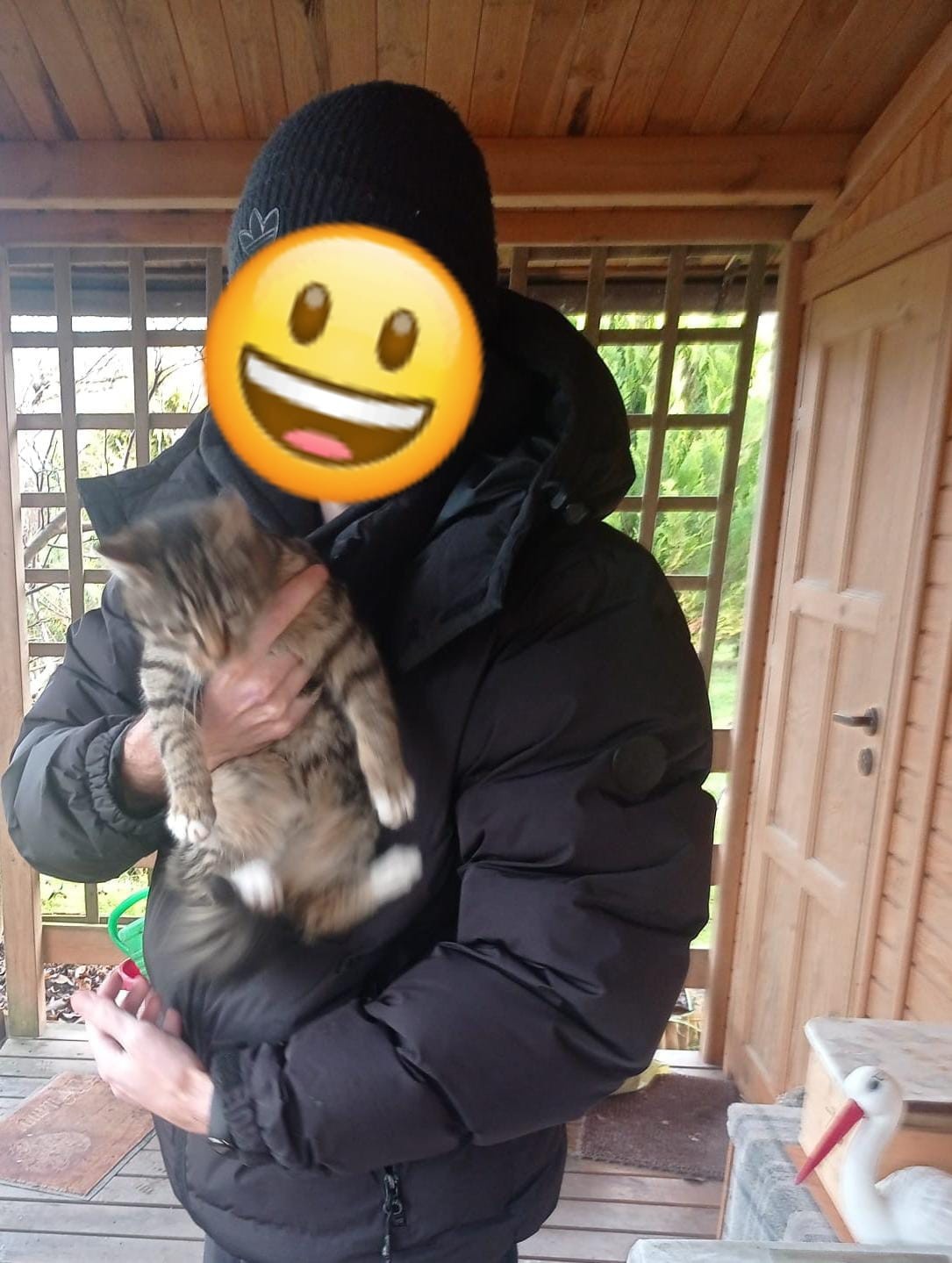 e4bc2986-24ce-48f4-a00b-fcb45d8895db