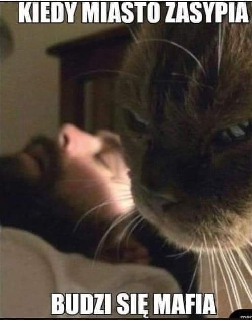 10b213a7-5543-4878-bc49-f7800a59ef78