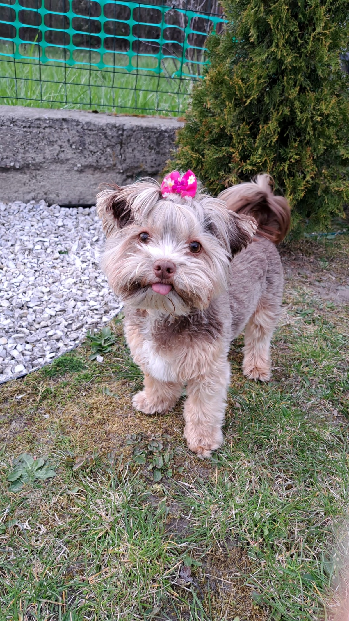 b6e88484-a0e6-49c0-b9c4-c1c0a2dcb6e1