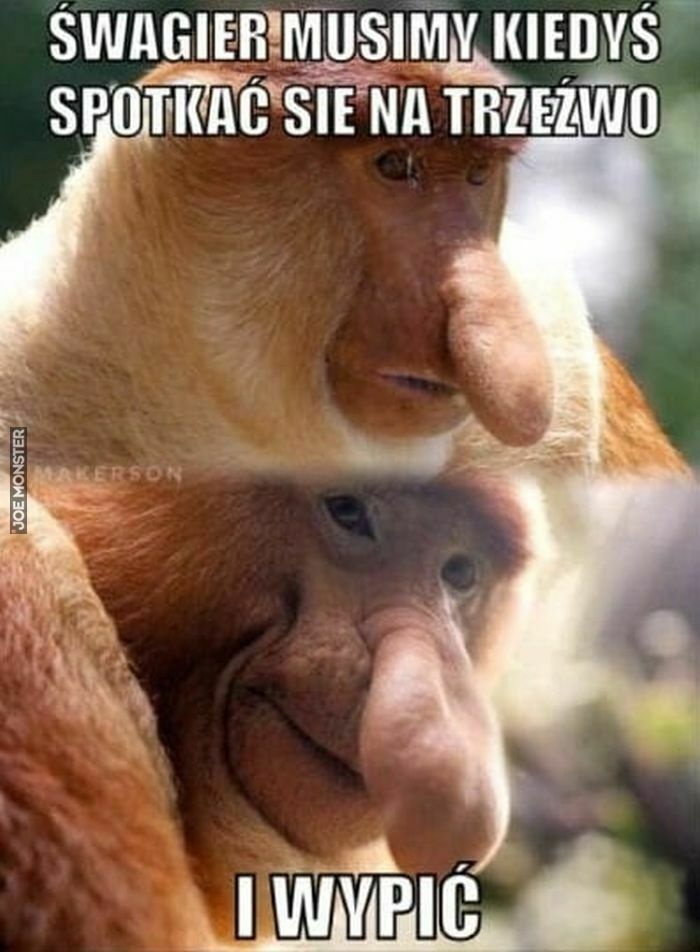 8c569669-fdb8-496b-860f-ef817f6d2a19