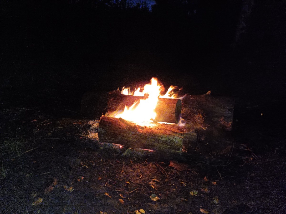 c18581ca-c112-44ba-a139-dc18421c3fc8