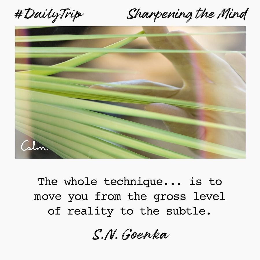 dd99541d-67a3-4871-bcc1-553eb3868a94