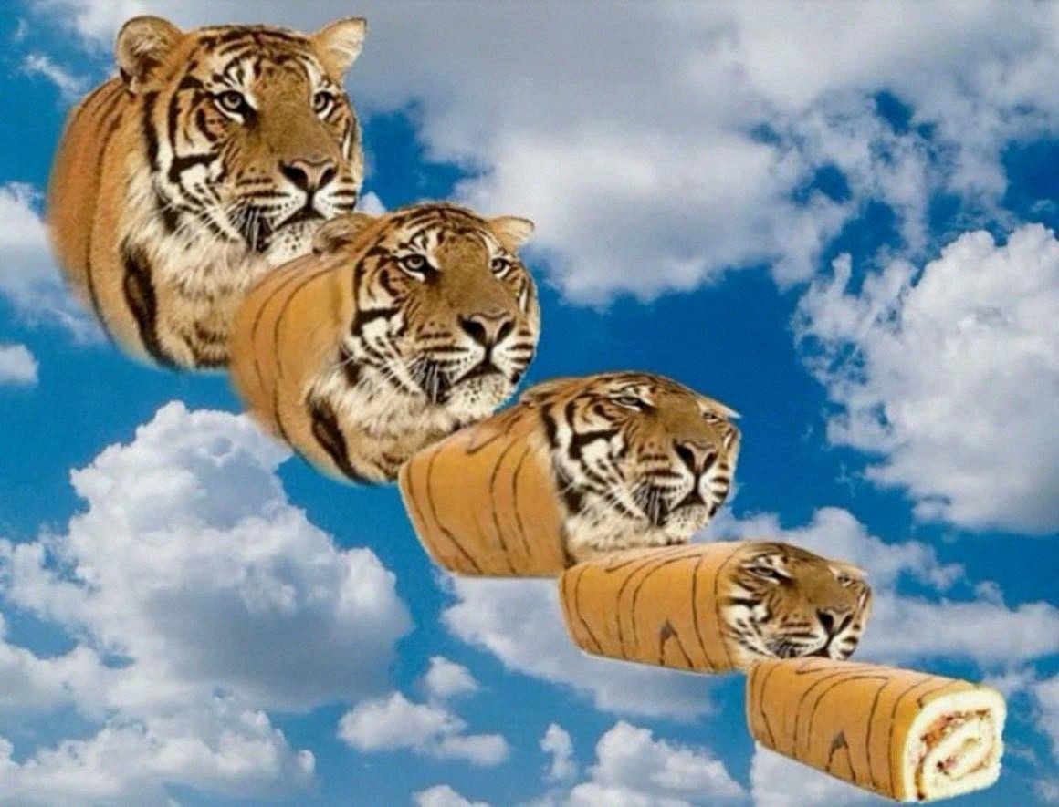 5036e9f3-369a-4556-92f1-edc34e028ec5