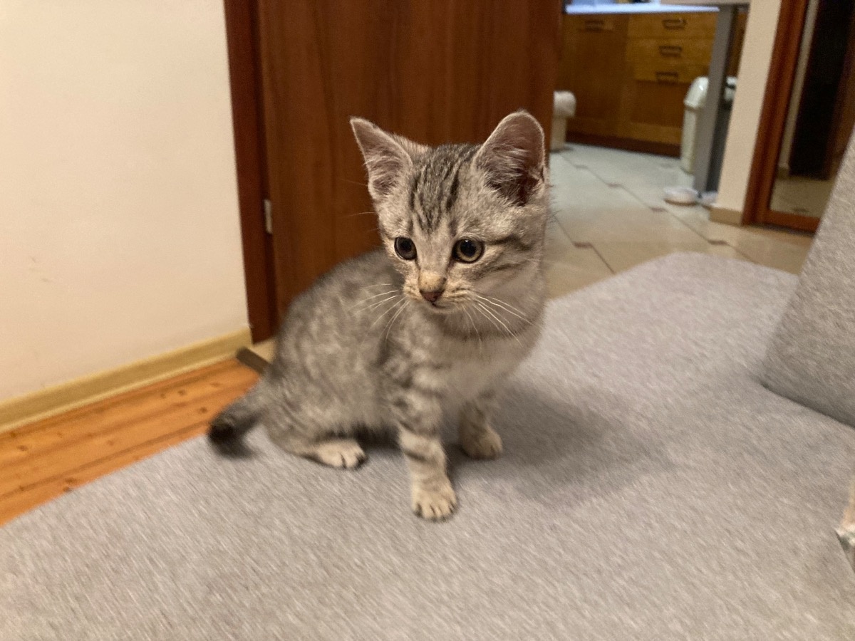 41b8ec5f-fb76-4c36-aa77-e6fc84af8d87