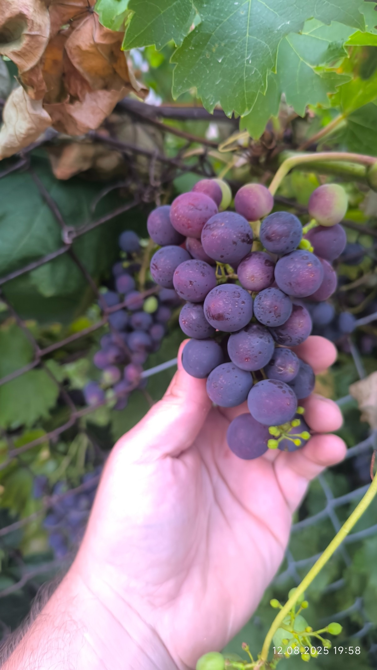 bab01703-a414-42b9-8f54-574fa2948eb8