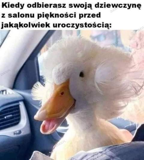 57fbc383-e46f-4f4c-a1ef-f7e67419426f