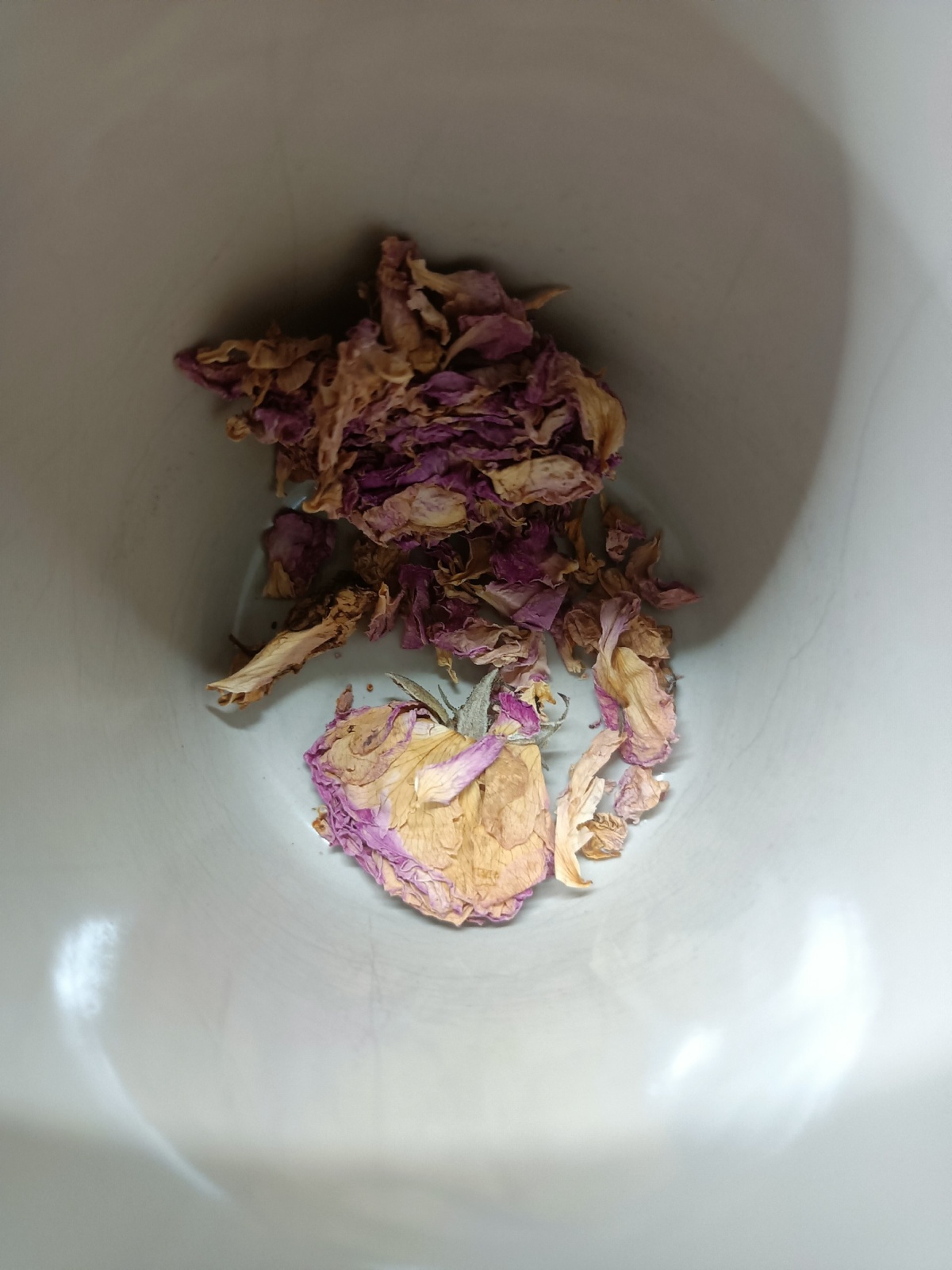 bed6e7ce-38a5-41c3-bdd6-b7d668e635a0