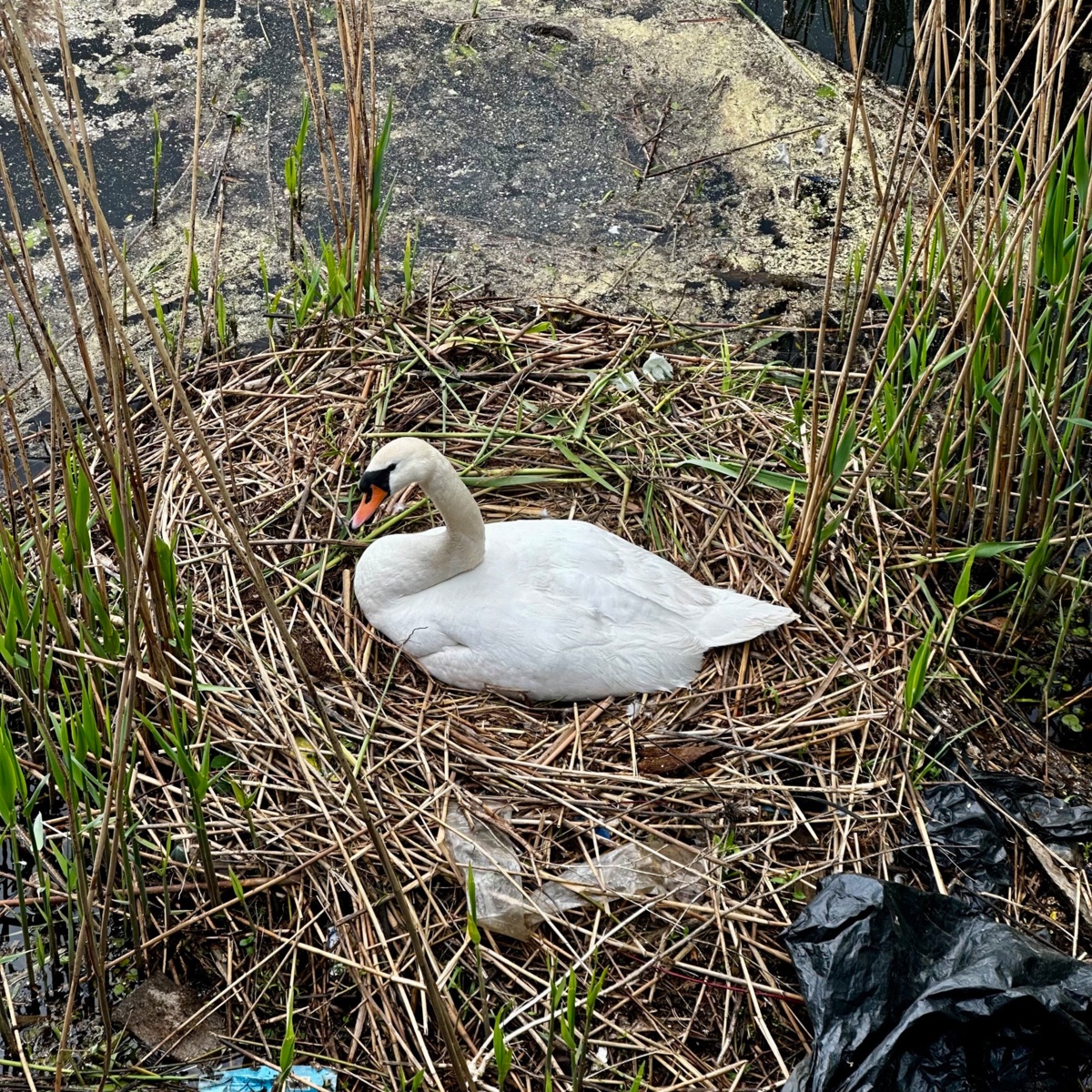 d3127608-0478-4759-9574-027d6799d384