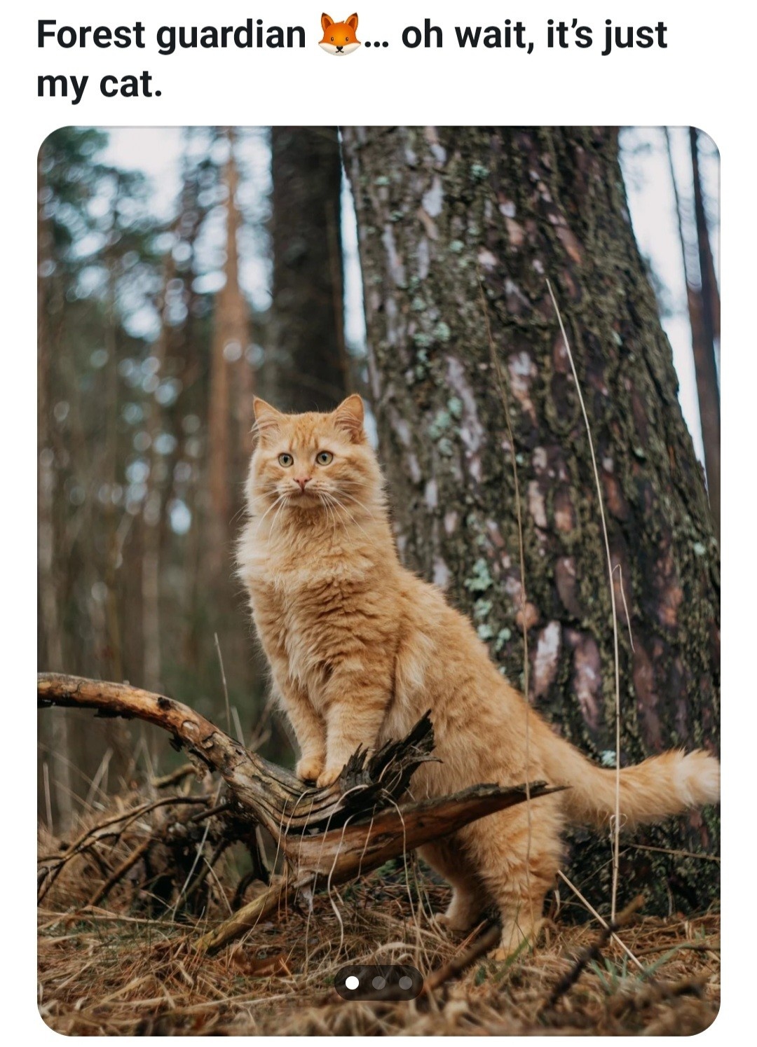 0f88e51e-8beb-4bd2-8f47-f45461611f11