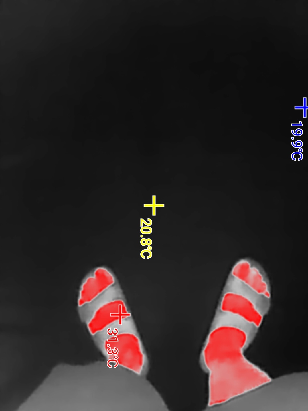 2fae00ef-8d1c-4163-9275-f2c6959d4826