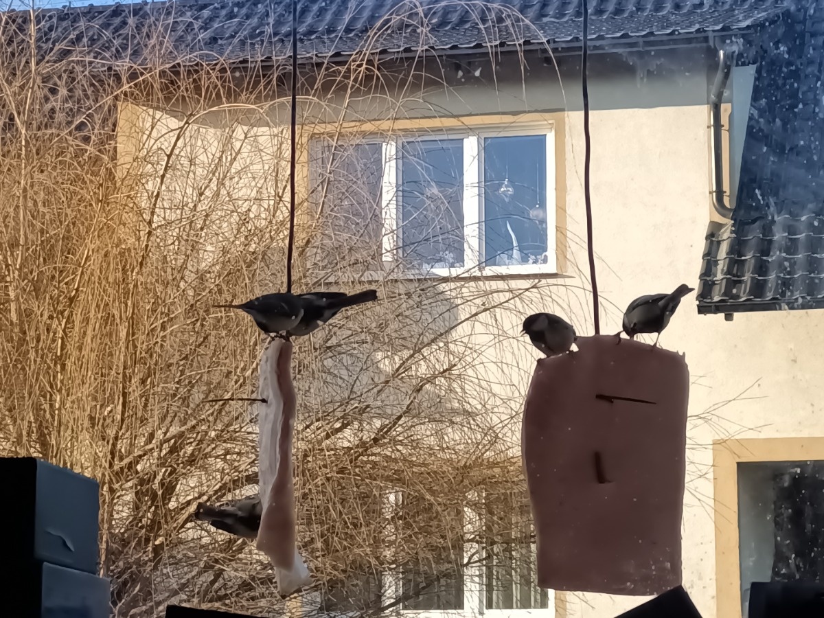 ac5de50a-f4f1-40ce-a312-620321a6a665